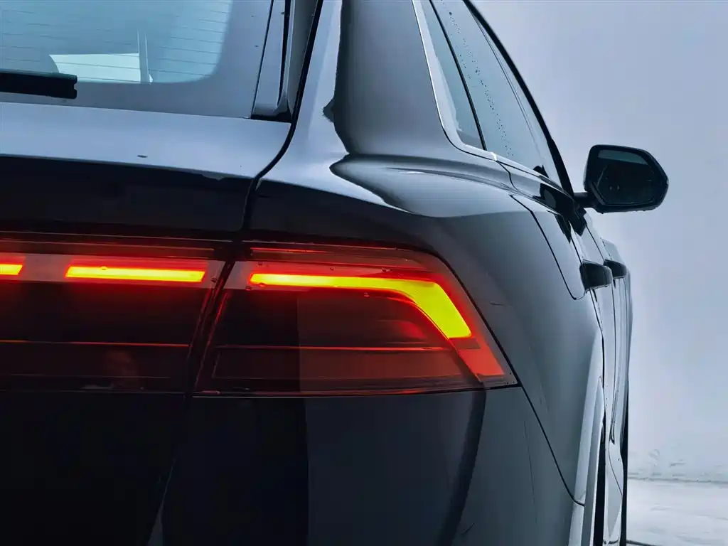 Audi Q8 2024 55 TFSI Luxury Sport фото 19