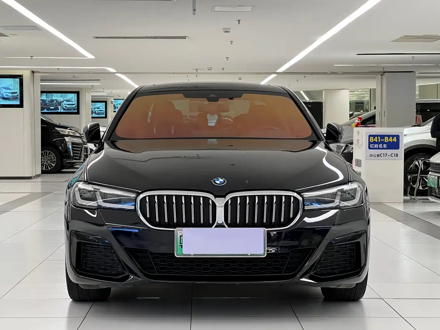 BMW 5 SERIES NEW ENERGY