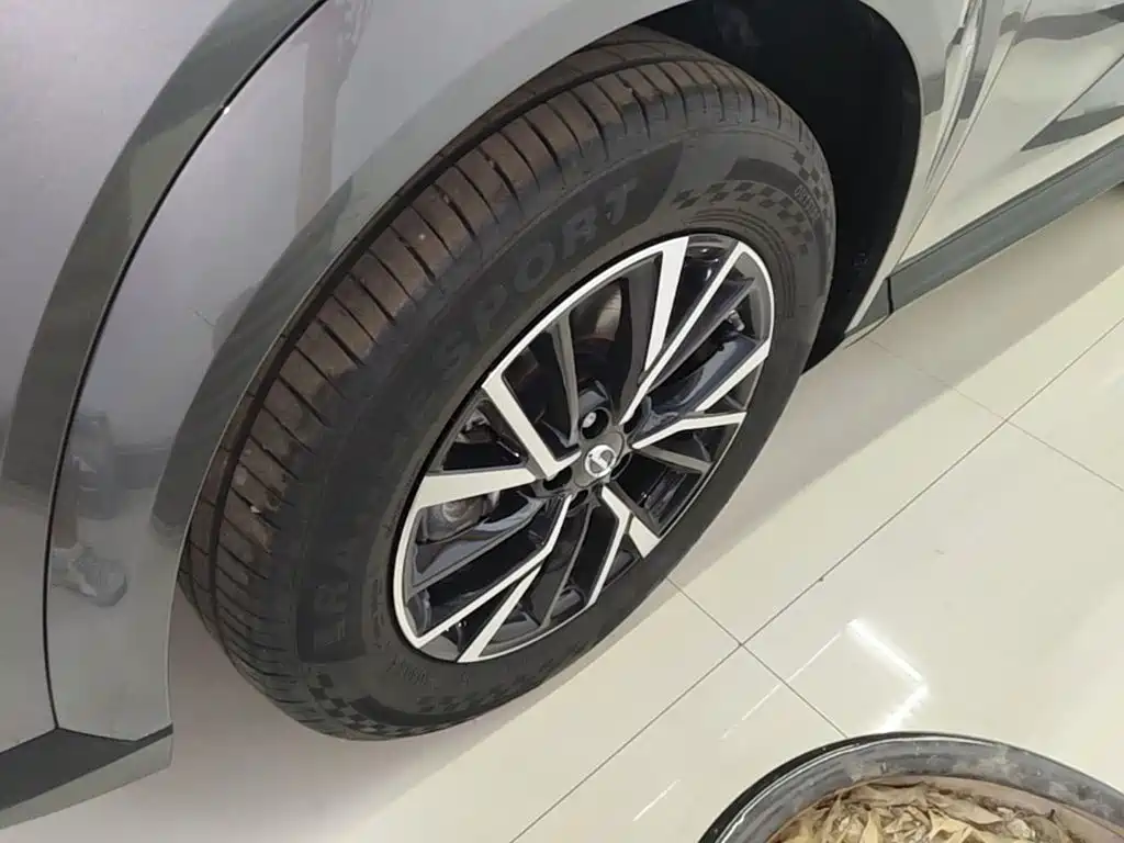 GAC Trumpchi Trumpchi GS4 2024 2024 MAX 1.5T Pilot Edition