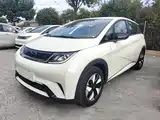 Photo 1 - BYD Dolphin