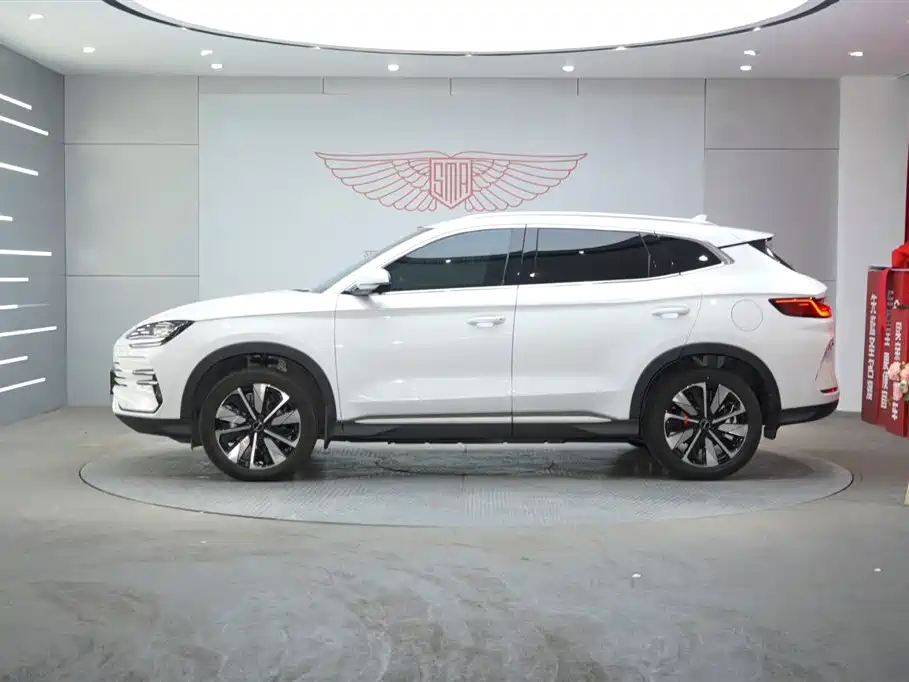 BYD SONGJIANG NEW ENERGY