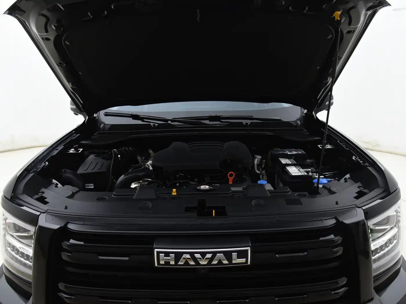 HAVAL H5