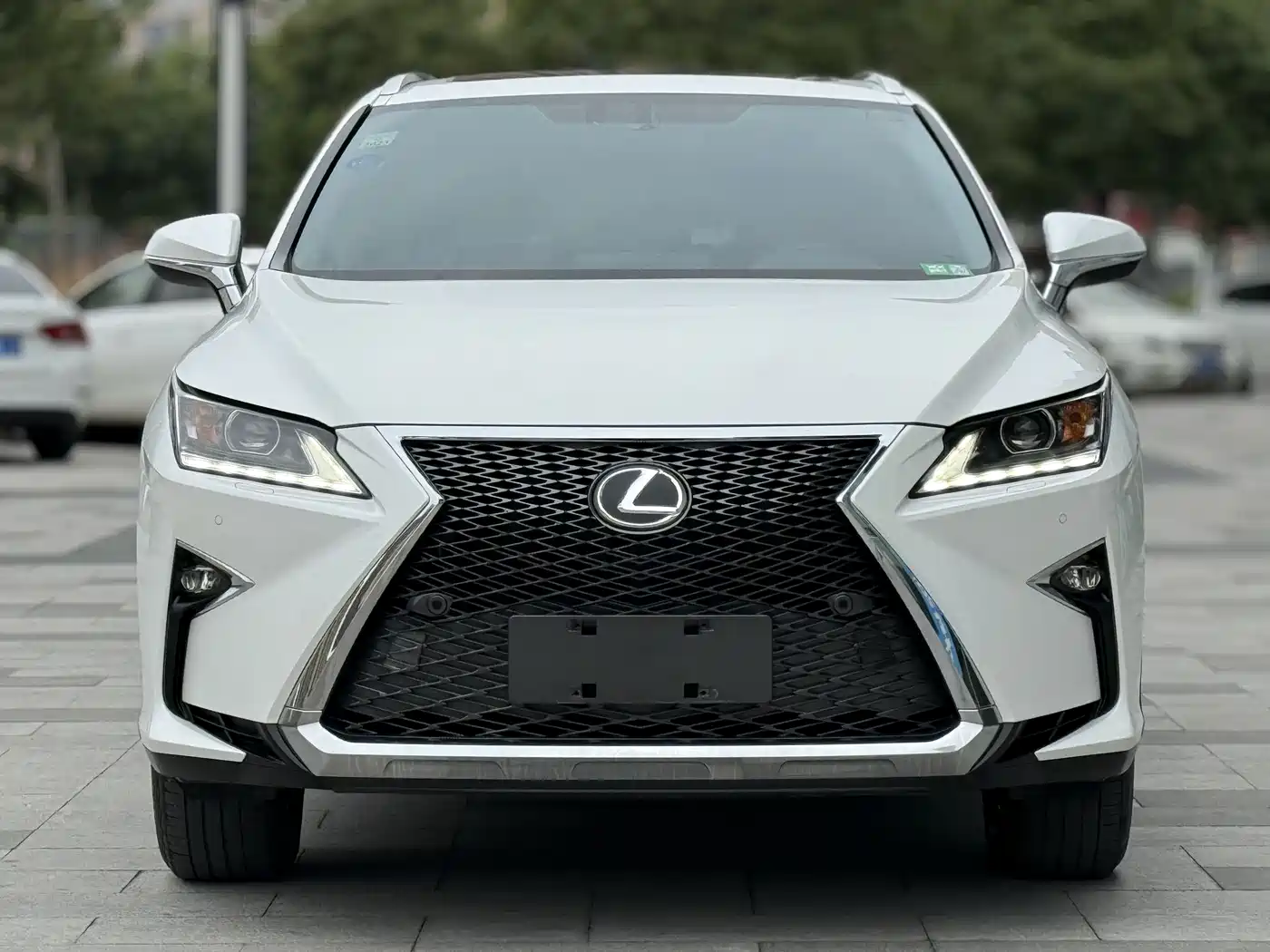 Lexus RX 2016 300 2WD Elite Edition (China V) фото 2