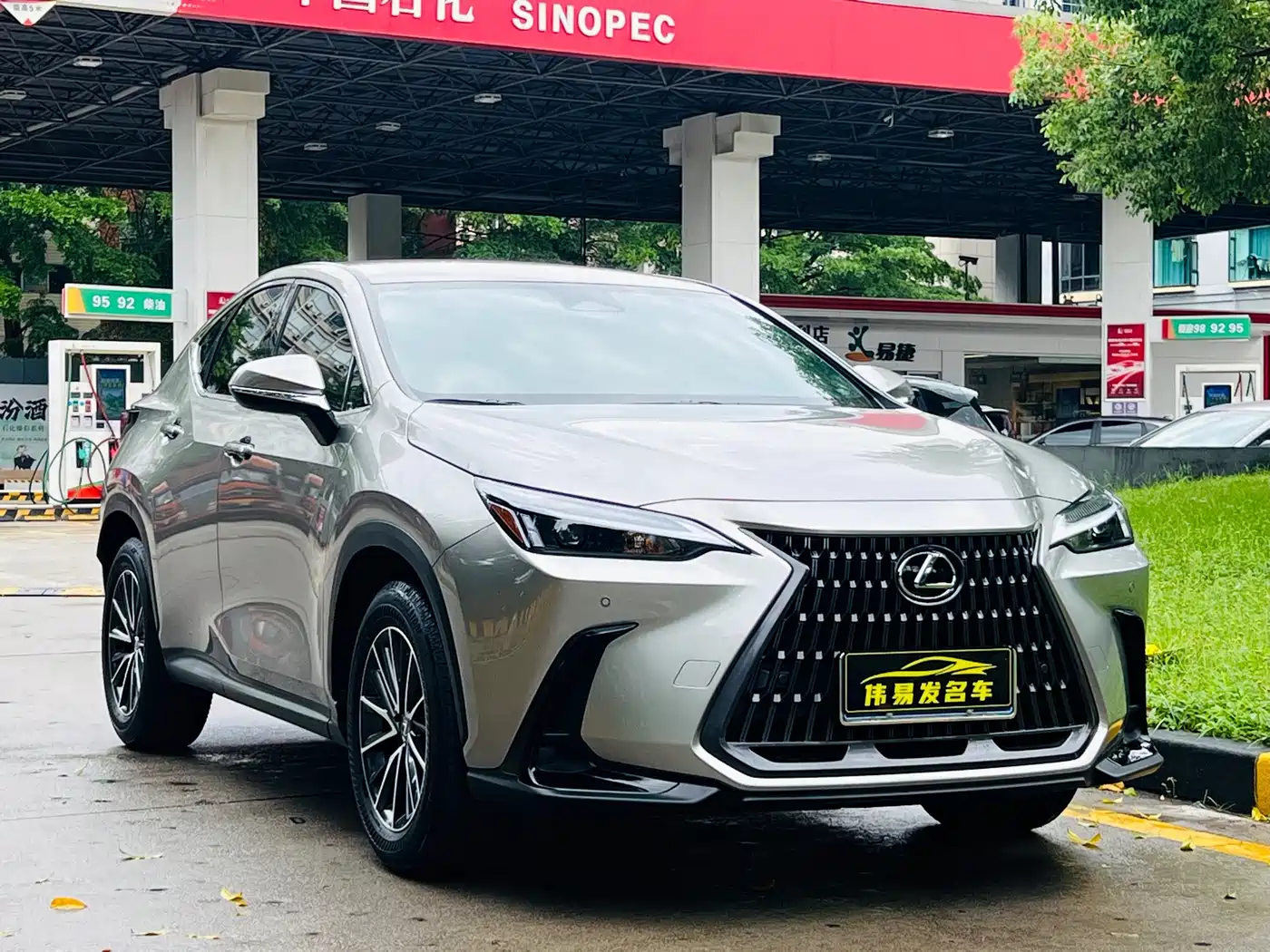 Lexus NX 2024 260 FWD Innovation Edition фото 3