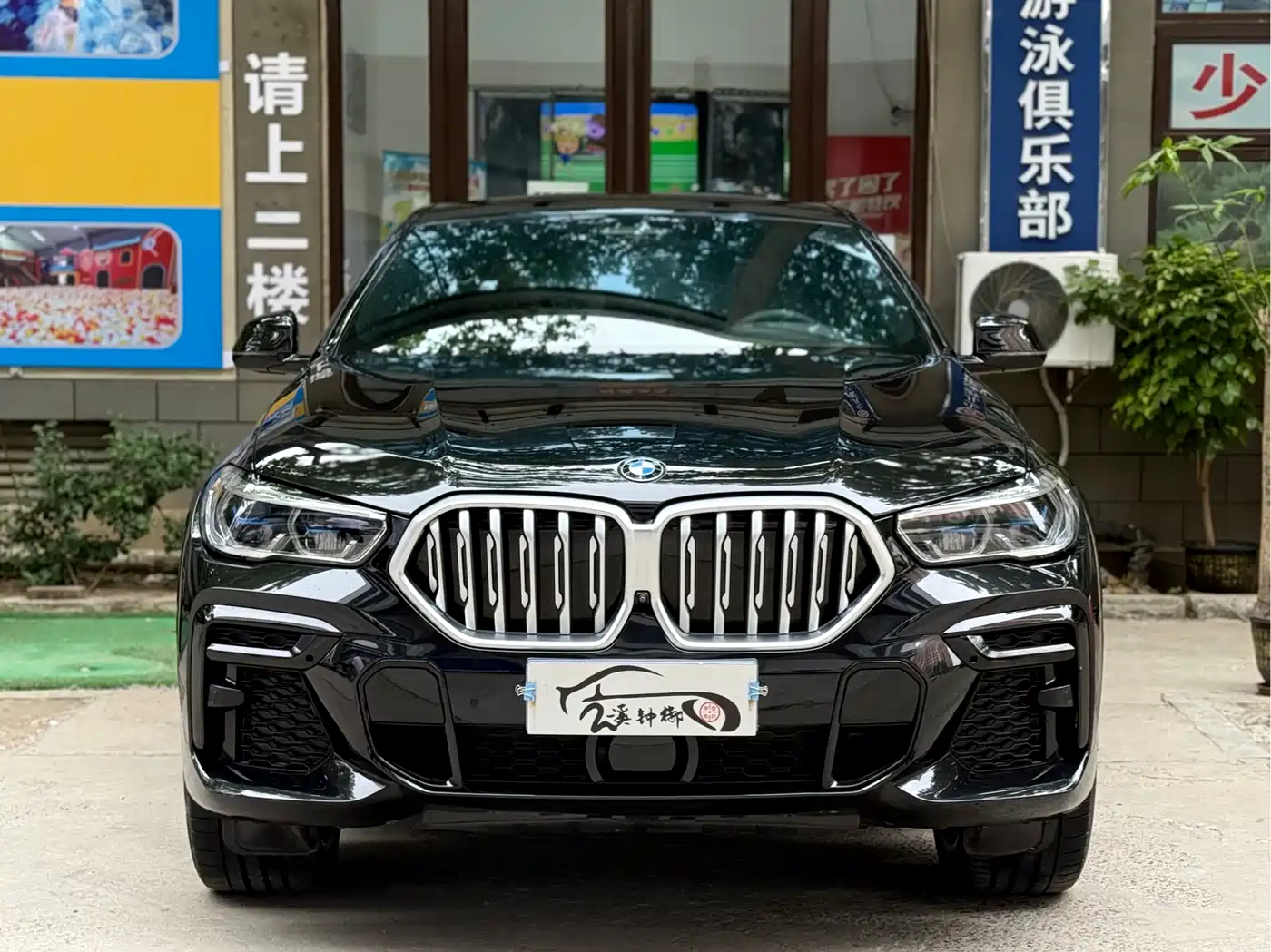 BMW X6