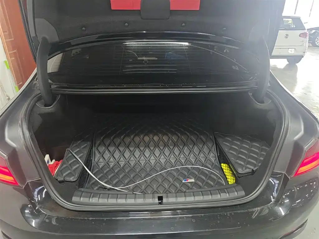 BMW 5 Series New Energy 2020 530Le Range Upgrade Luxury Package фото 19