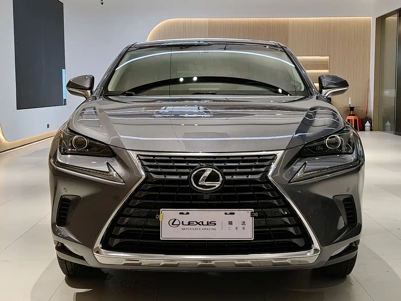Lexus NX 2018 Model 200 FWD Fengxing Edition China V