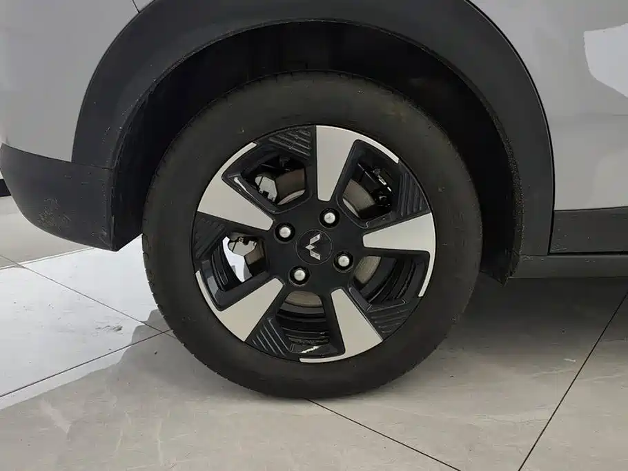 Wuling Motors Wuling Binguo PLUS 2026 2024 401km Range 5-seater