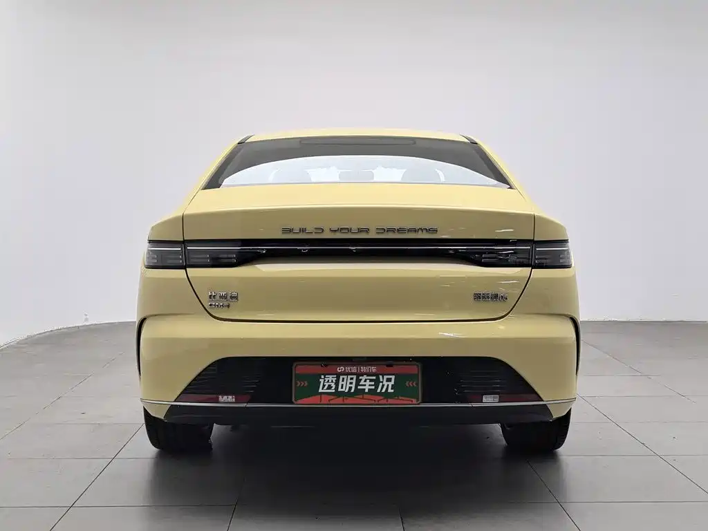 Фото 4 - BYD Destroyer 05