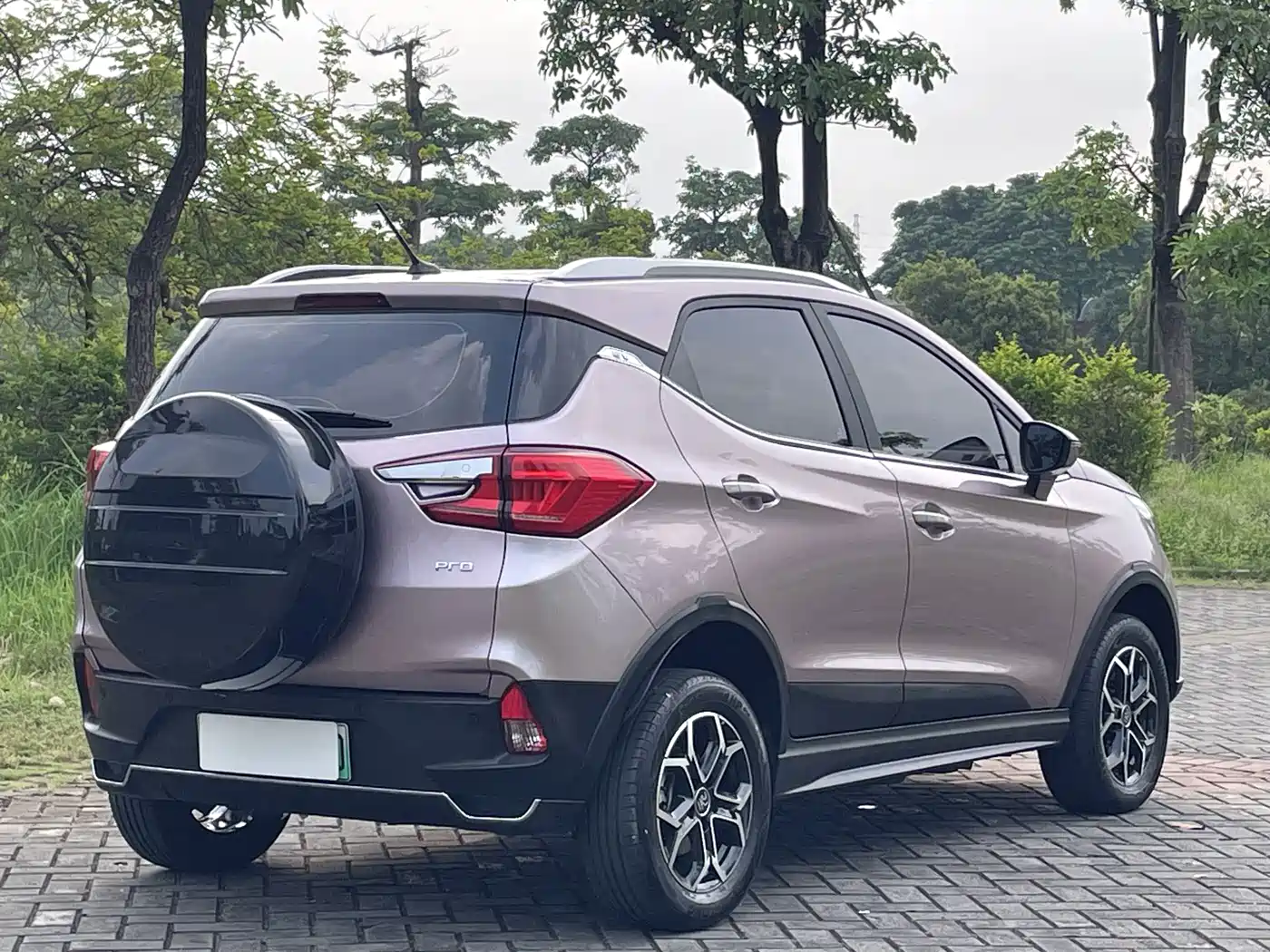 BYD Yuan Pro 2024 2023 401KM Luxury