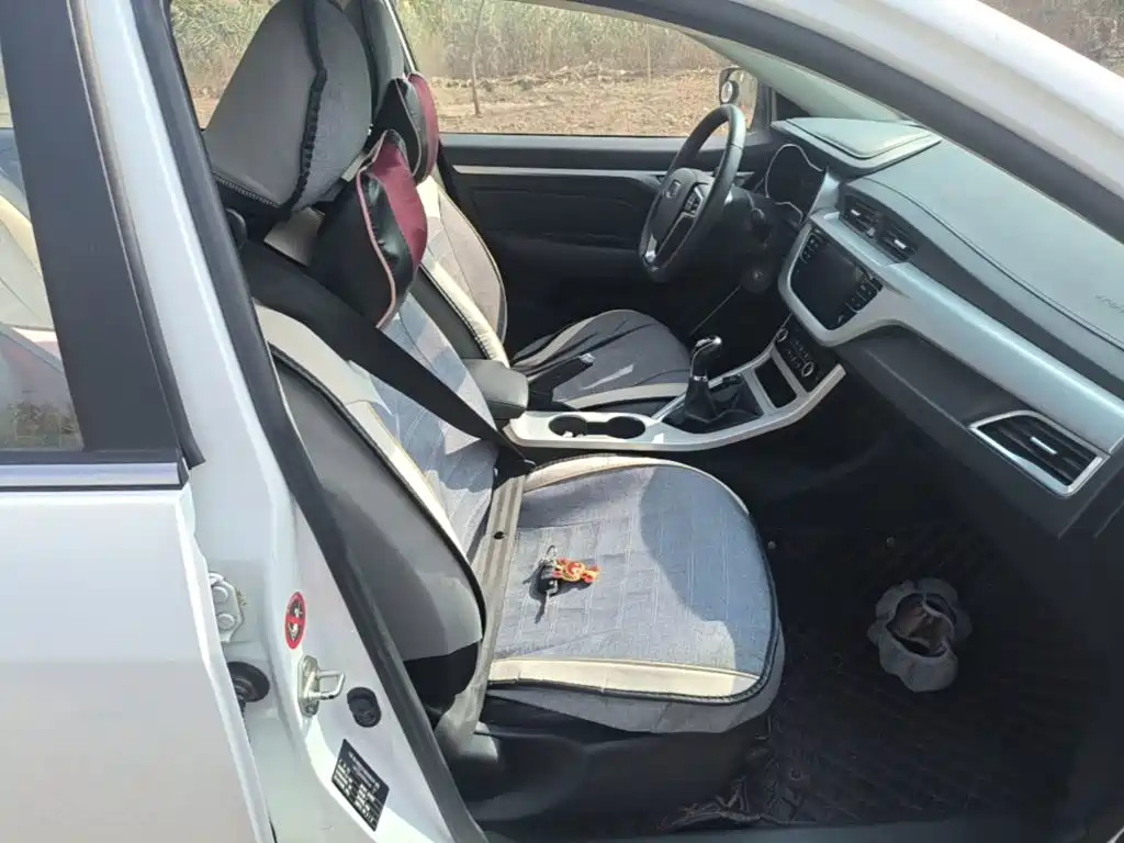 Фото 25 - Geely Vision