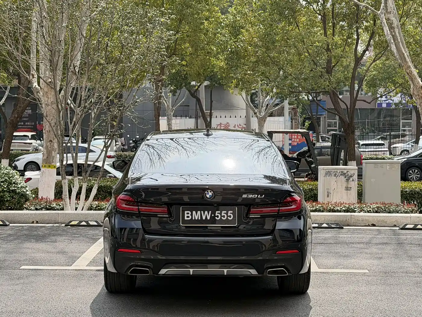 BMW 5 Series 2021 530Li Leading M Sport Package фото 10