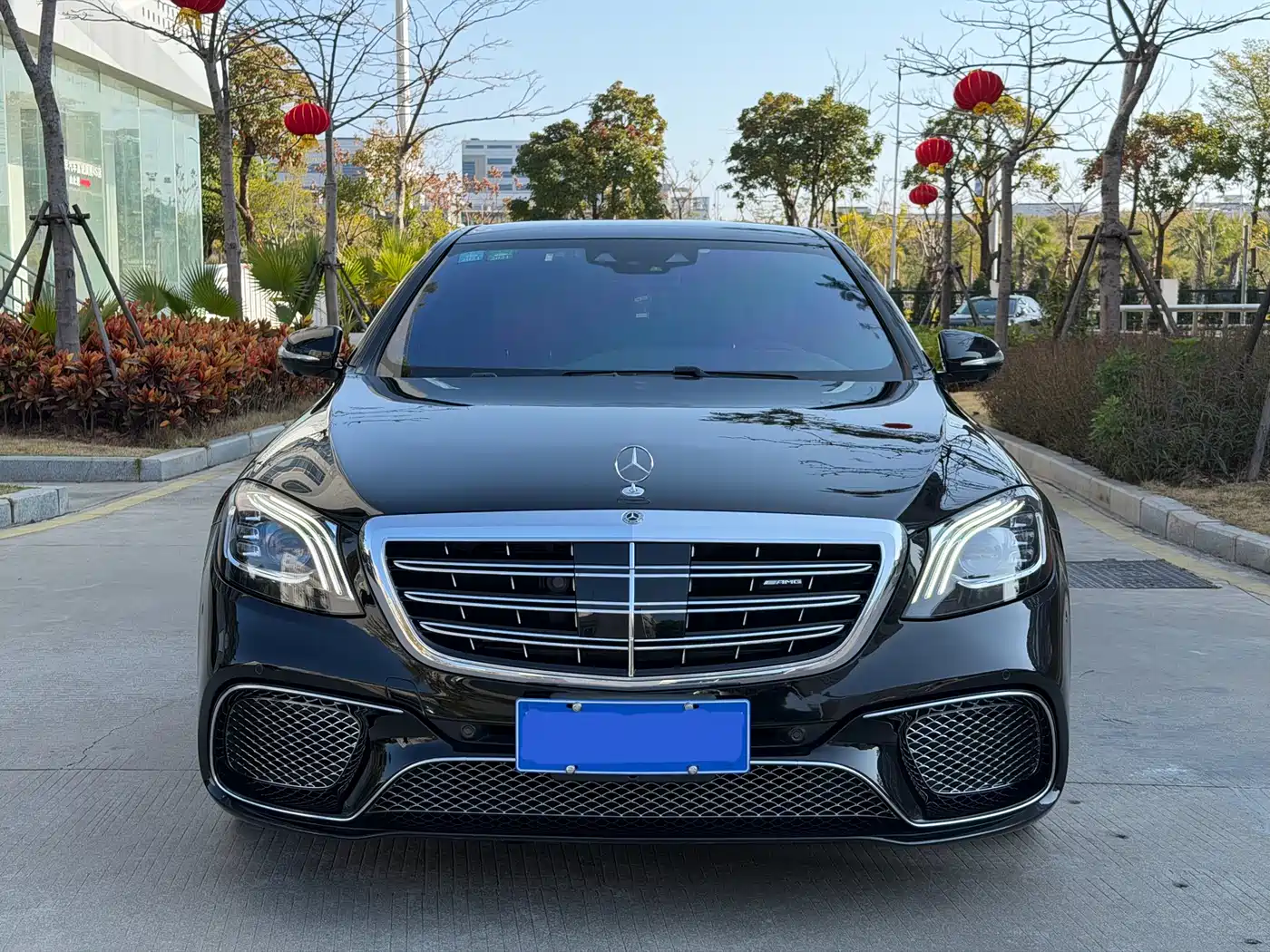 Mercedes-Benz S-Class AMG 2018 AMG S 65 L фото 2