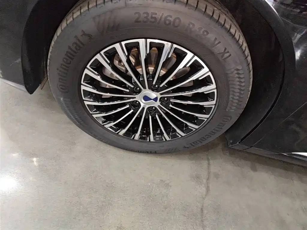Denza D9 2024 DM-i 980 AWD Prestige фото 23