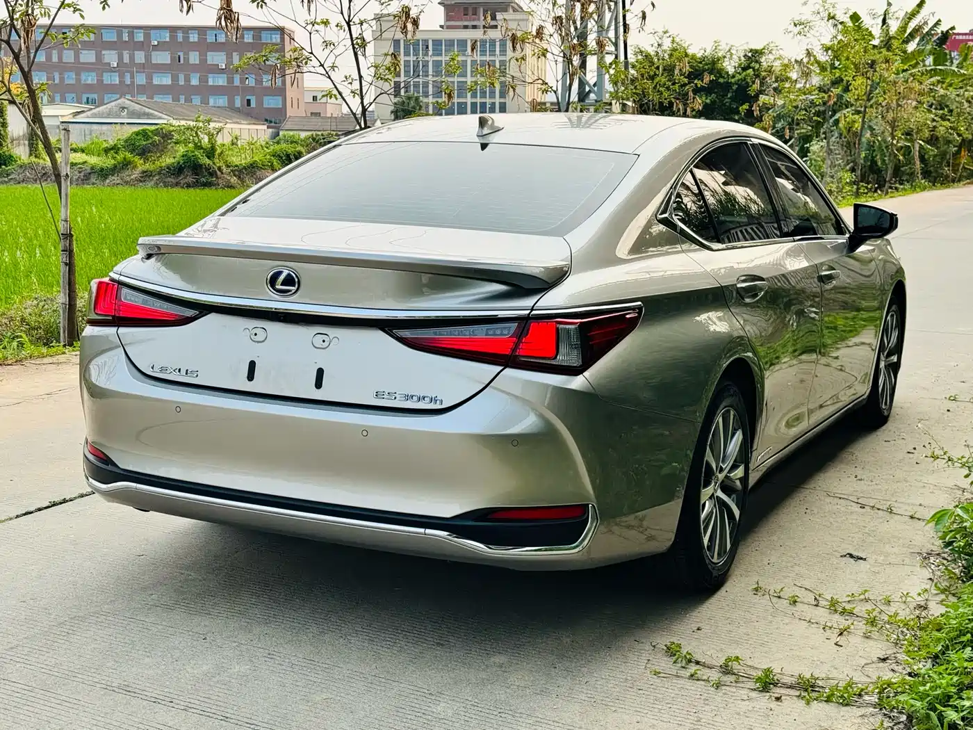 Lexus ES 2020 Model 300h Excellence Edition China V фото 14
