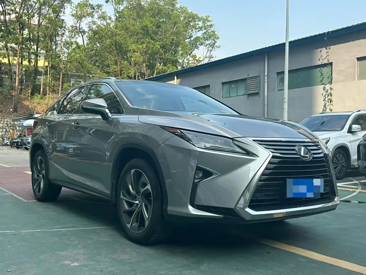Lexus RX 2016 300 4WD Elegance Edition (China V) фото 2