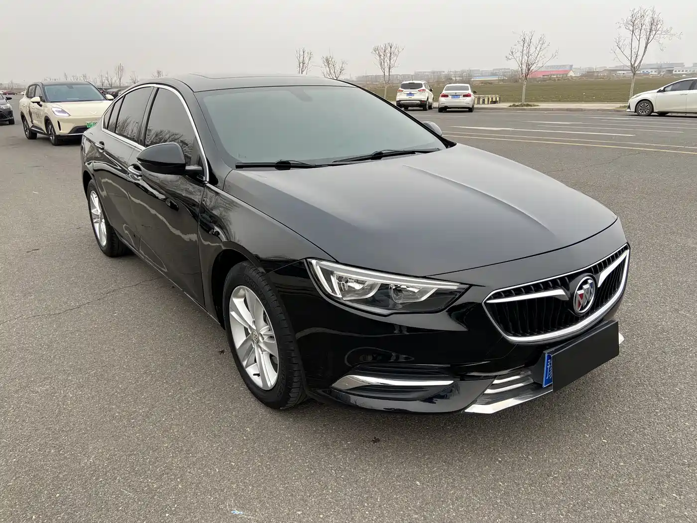 Buick Regal 2017 20T Elite Type фото 3