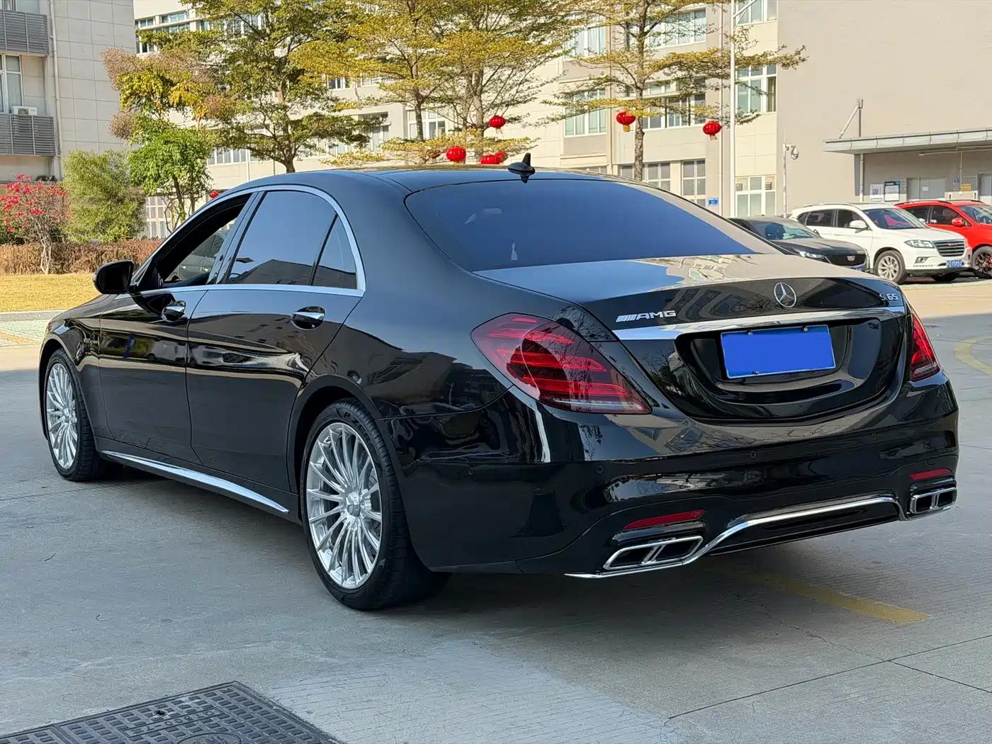 Mercedes-Benz S-Class AMG 2018 AMG S 65 L фото 23