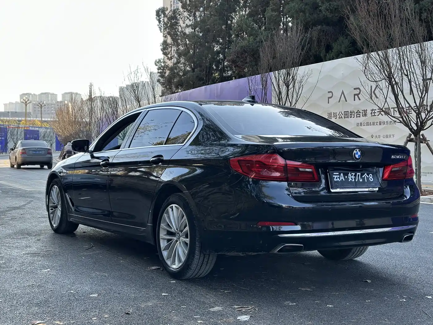 BMW 5 Series 2019 530Li Leading Luxury Package фото 9