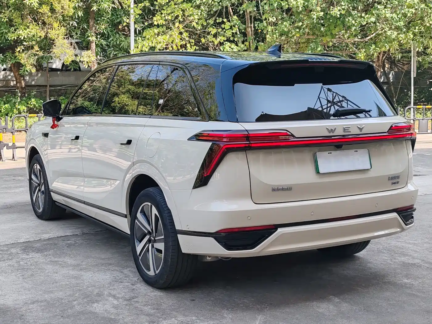 WEI PAI WEI BRAND BLUE MOUNTAIN