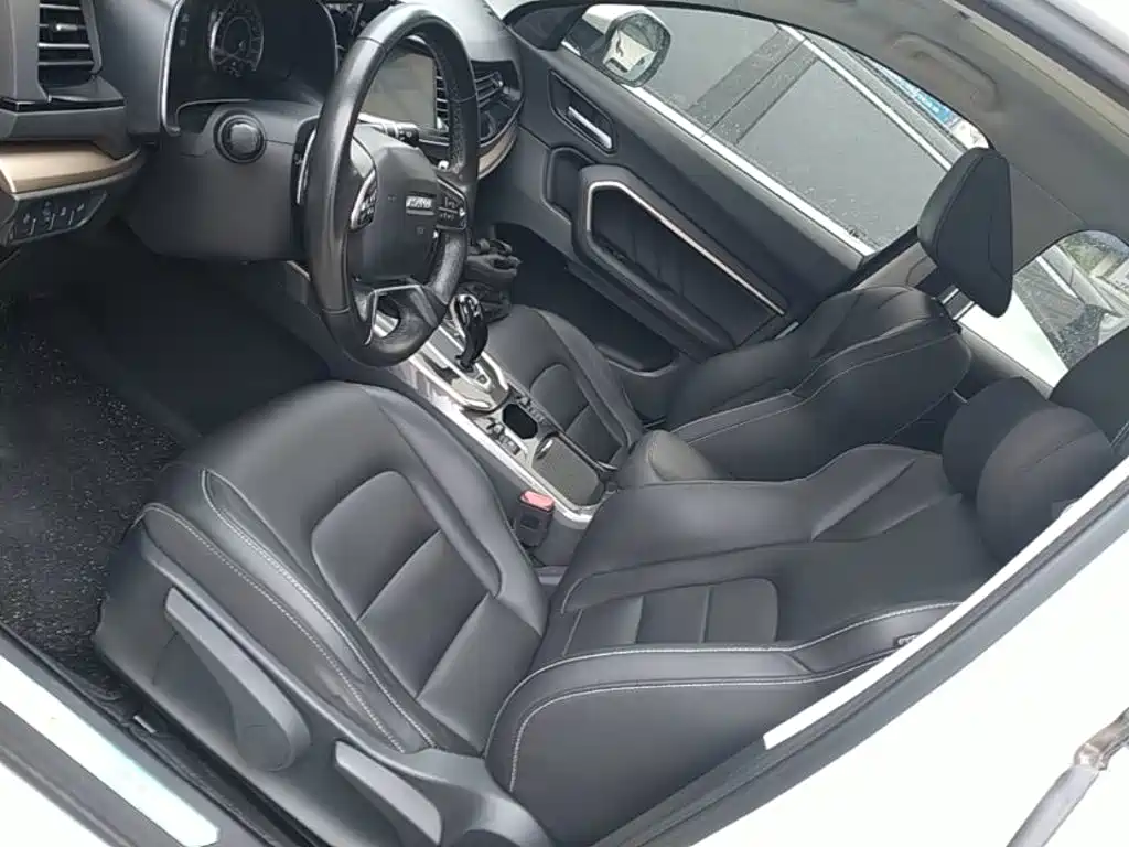 صورة 15 - Haval H6