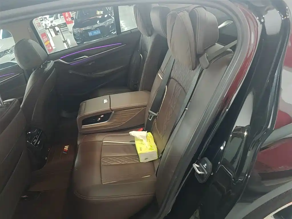 BMW 5 Series New Energy 2020 530Le Range Upgrade Luxury Package фото 17