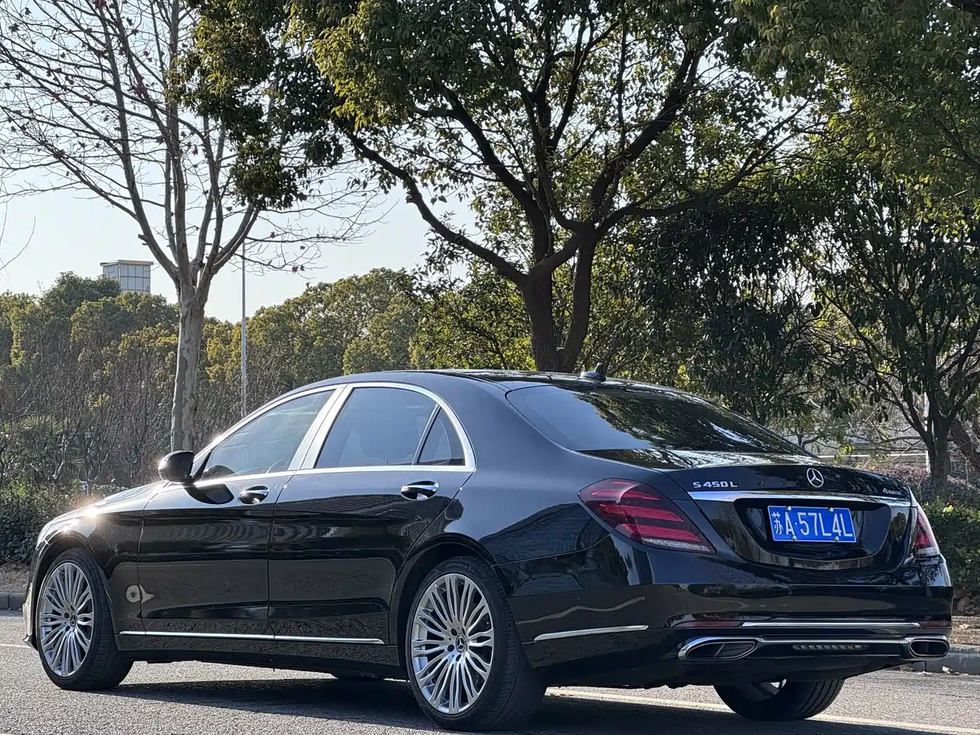 Mercedes-Benz S-Class 2019 S 320 L фото 4