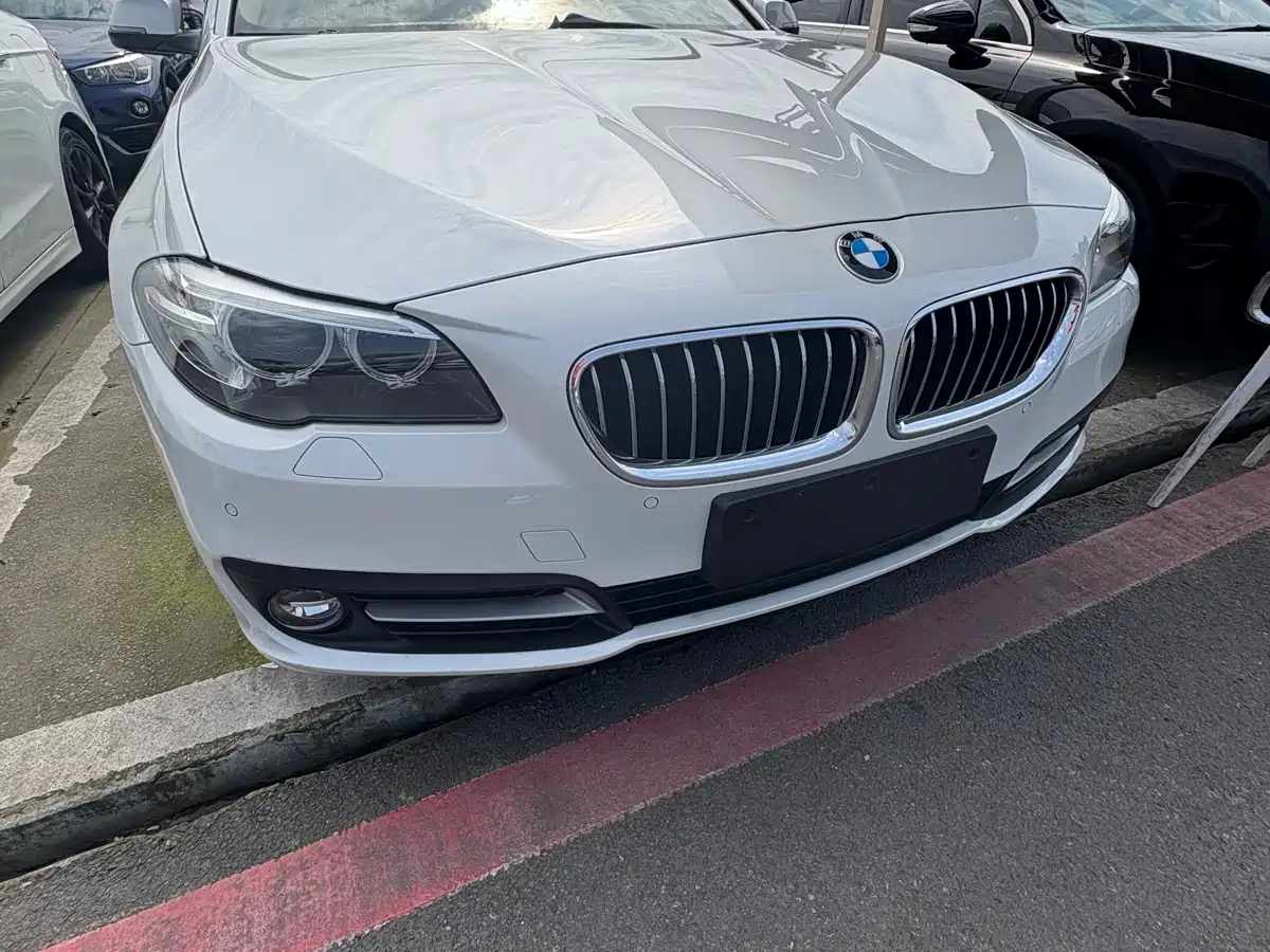 BMW 5 Series 2013 520Li Elegance фото 3