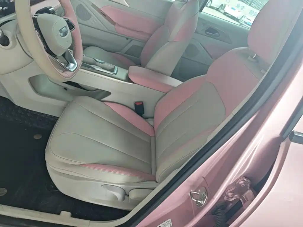 Geely Geometry E Firefly 2024 2024 401km Starlight