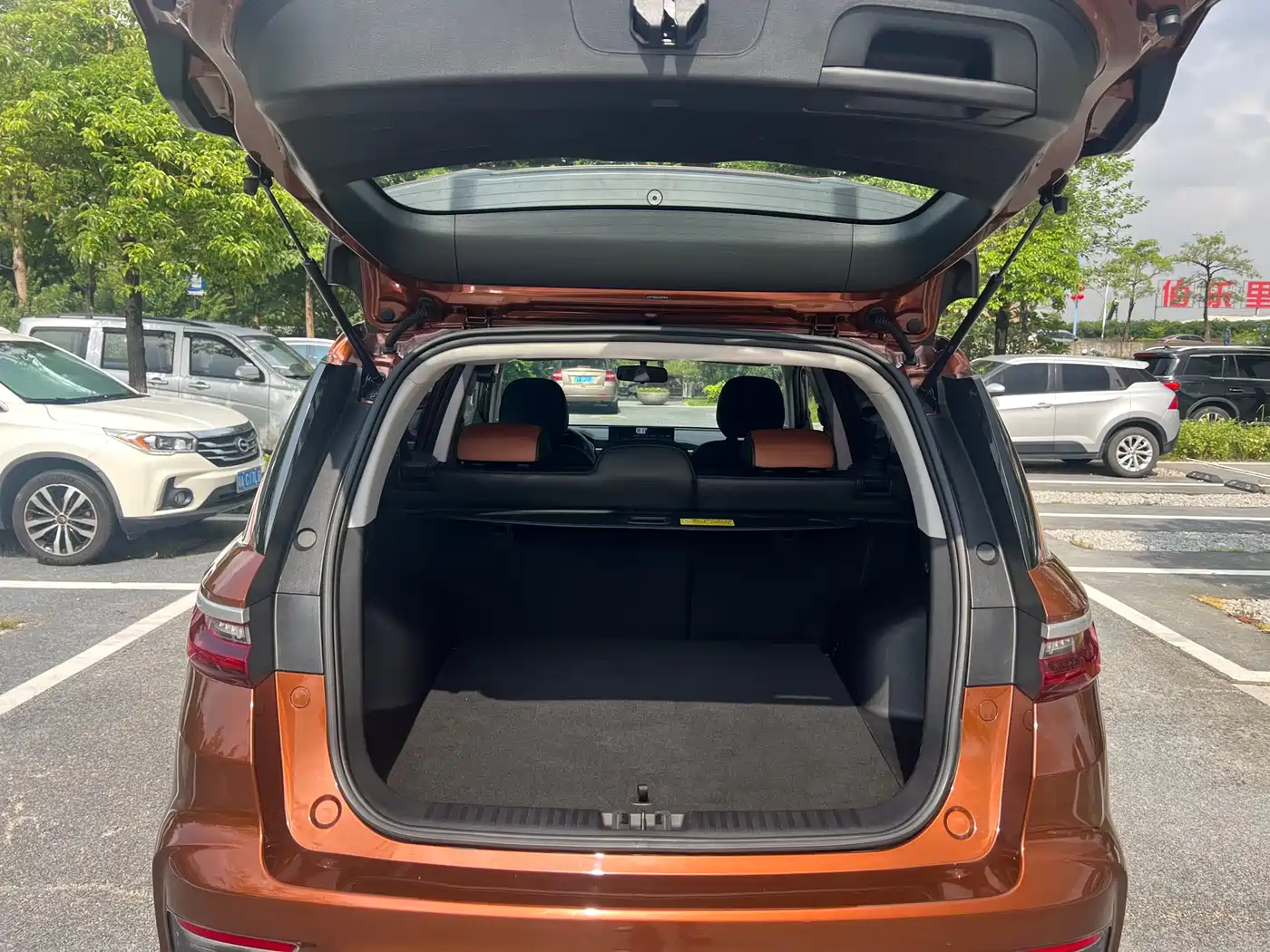 GEELY AUTOMOBILE VISION X6