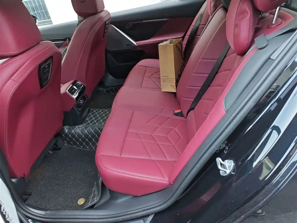 BMW 5 Series 2024 530Li Leading M Sport Package фото 24