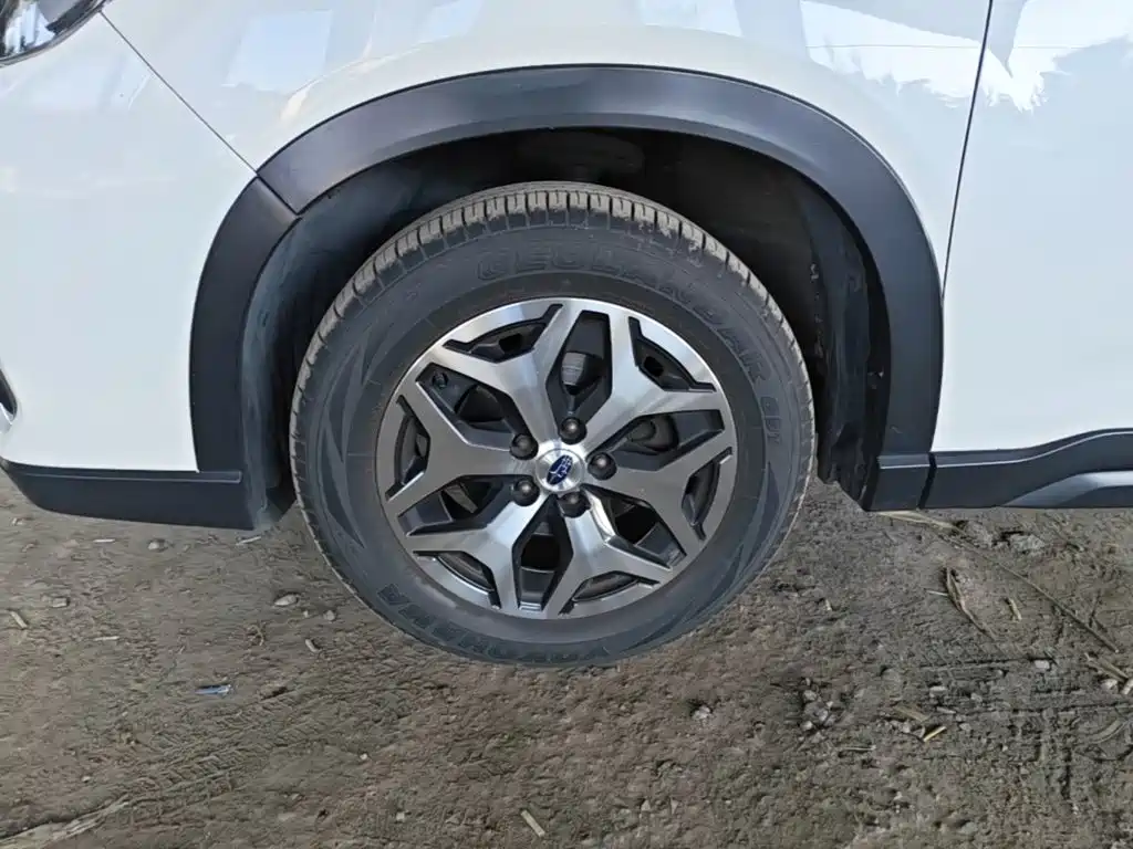 Фото 23 - Subaru Forester