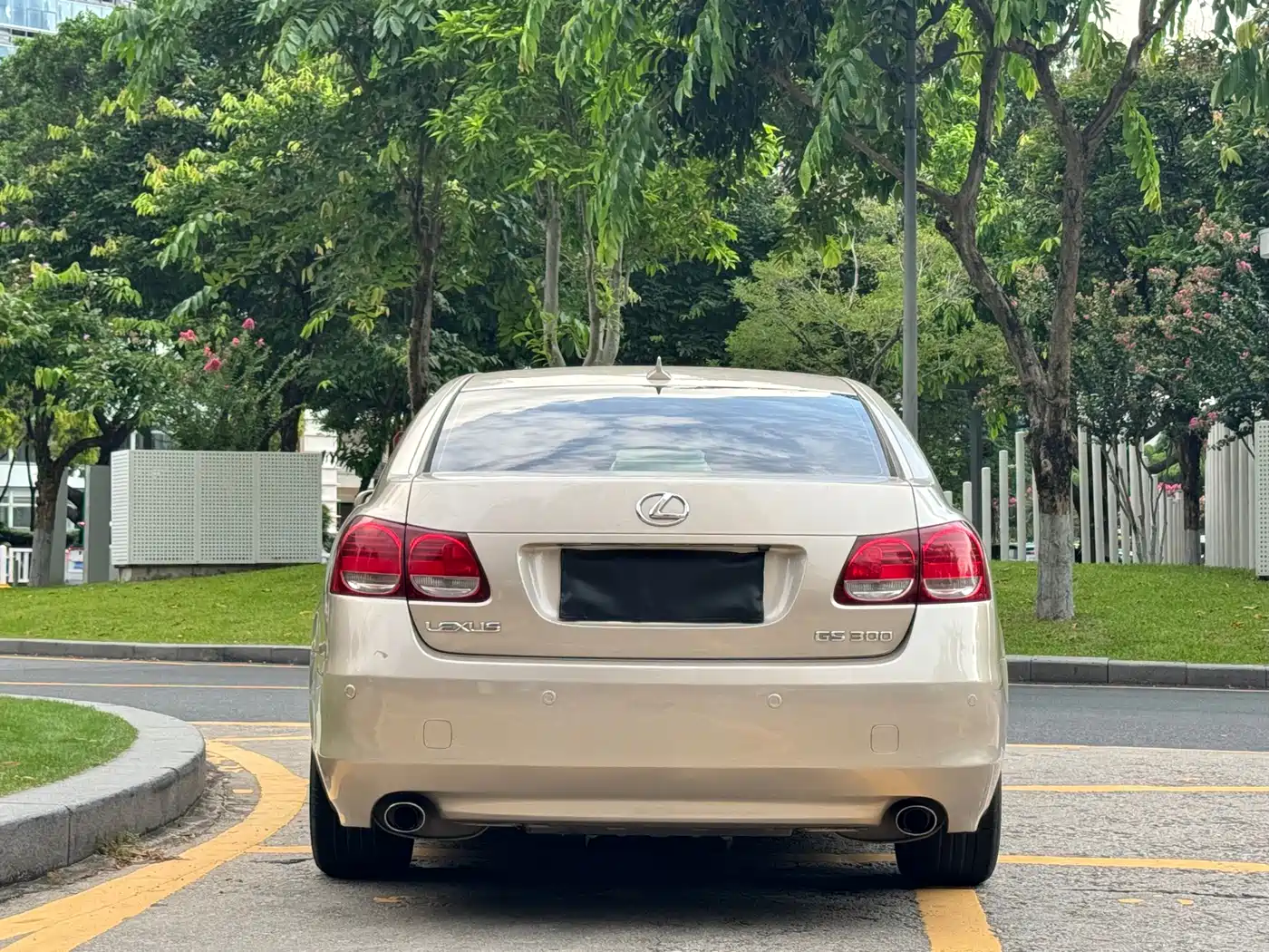 Фото 15 - Lexus GS