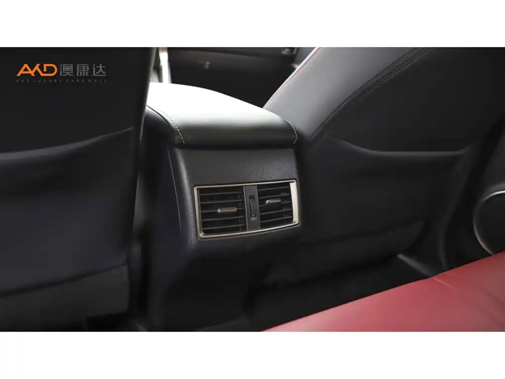 Lexus NX 2020 200 FWD Sharp Edition China VI фото 9