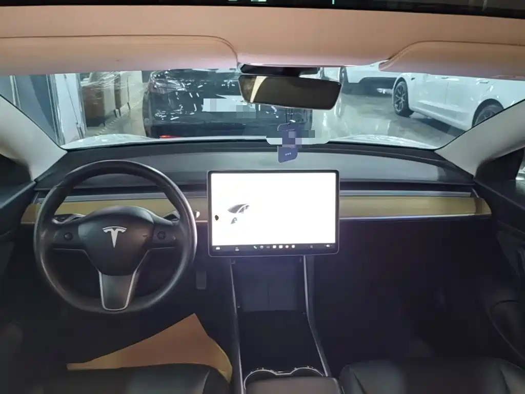 Tesla Model 3 2020 2020 Standard Range Rear-Wheel Drive Upgrade