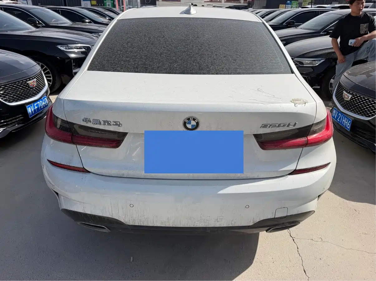 BMW 3 Series 2020 320Li M Sport Package фото 8