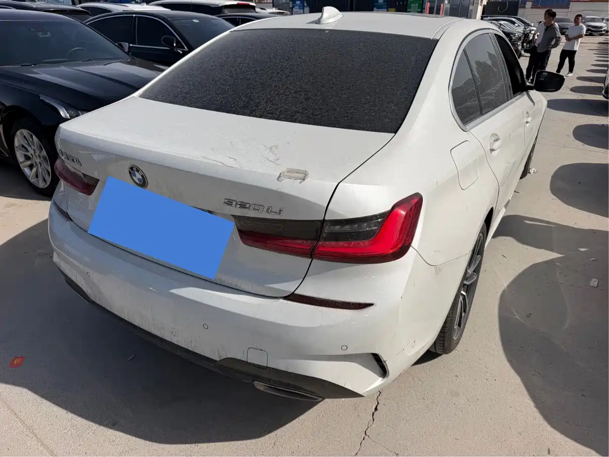 BMW 3 Series 2020 320Li M Sport Package фото 9