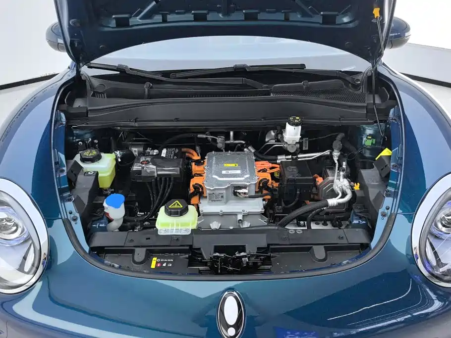 Photo 10 - Ora Good Cat