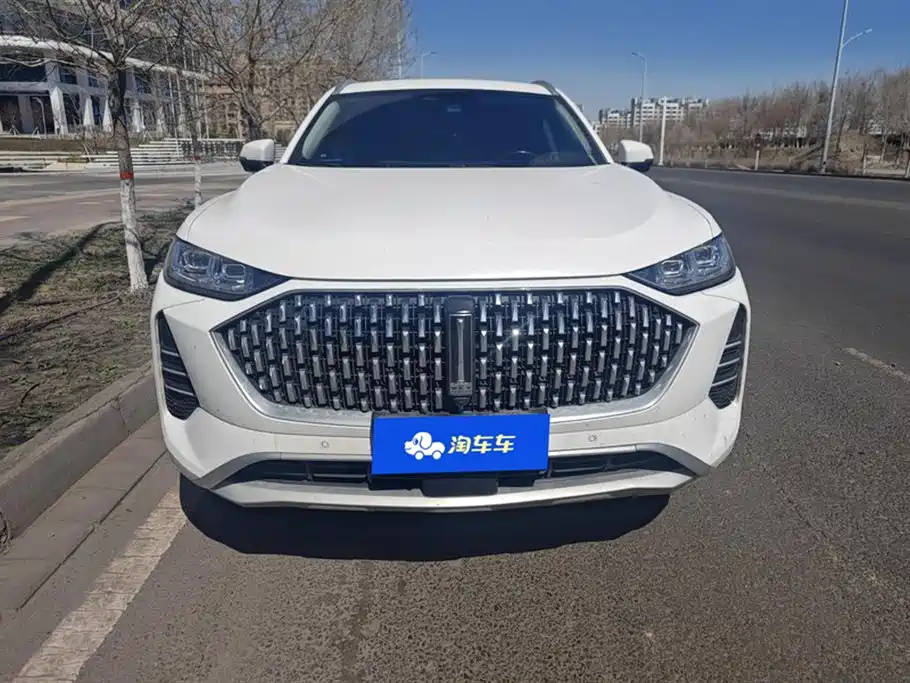 WEI PAI WEI BRAND MOCHA