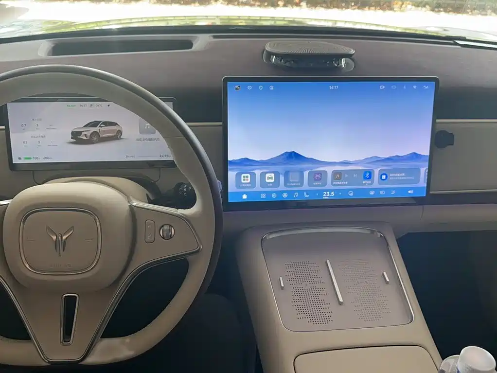2025 Voyah Auto Voyah Zhiyin