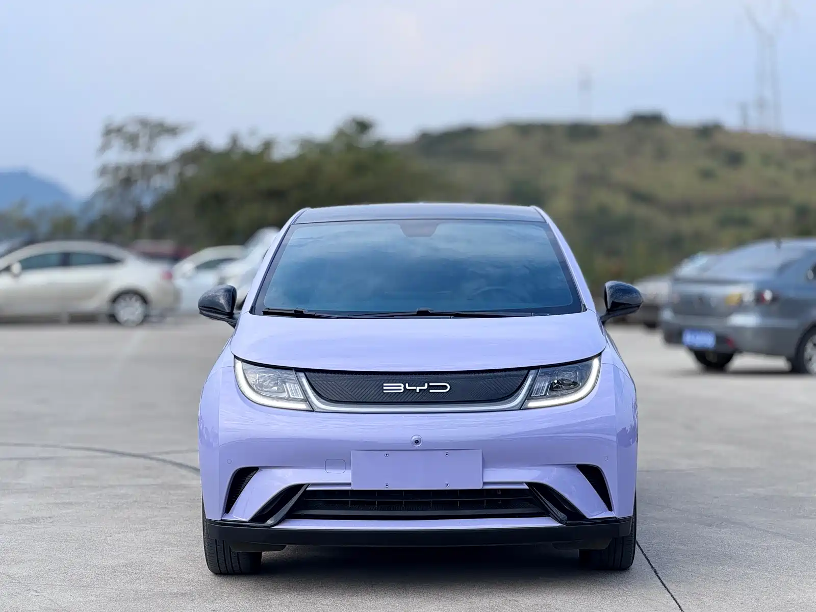 Фото 2 - BYD Dolphin