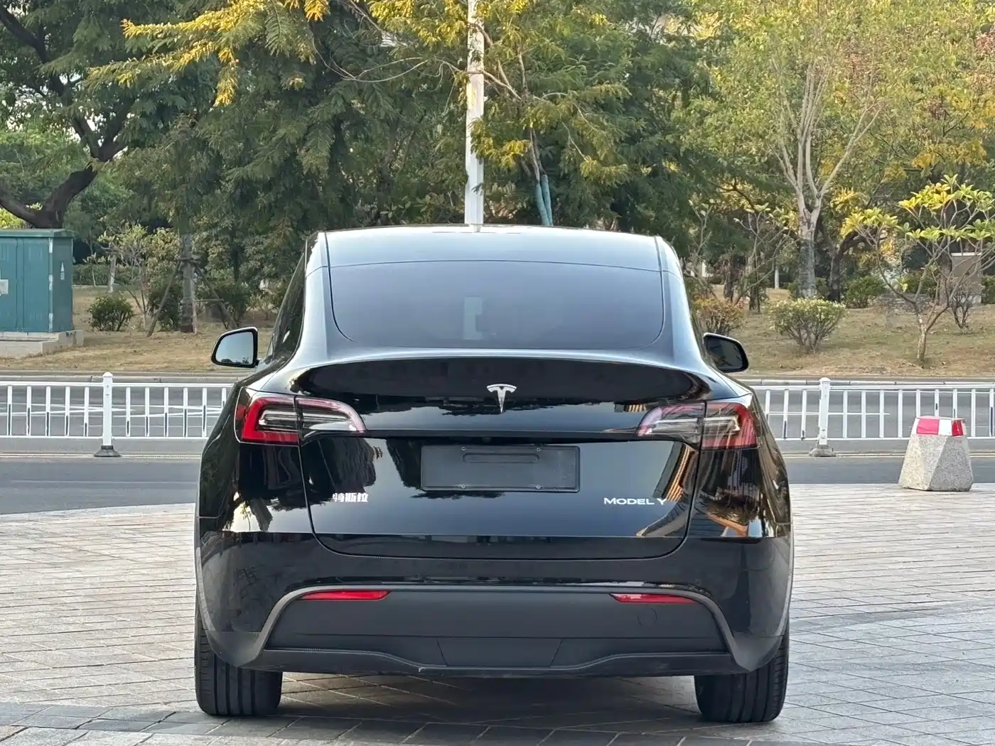 TESLA MODEL Y