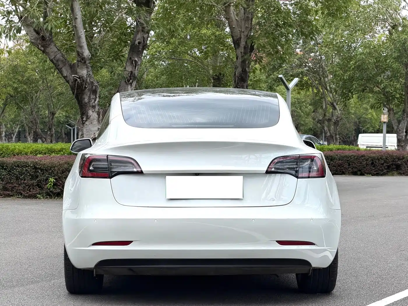 Tesla Model 3 (Import) 2019 2019 Long Range RWD Version