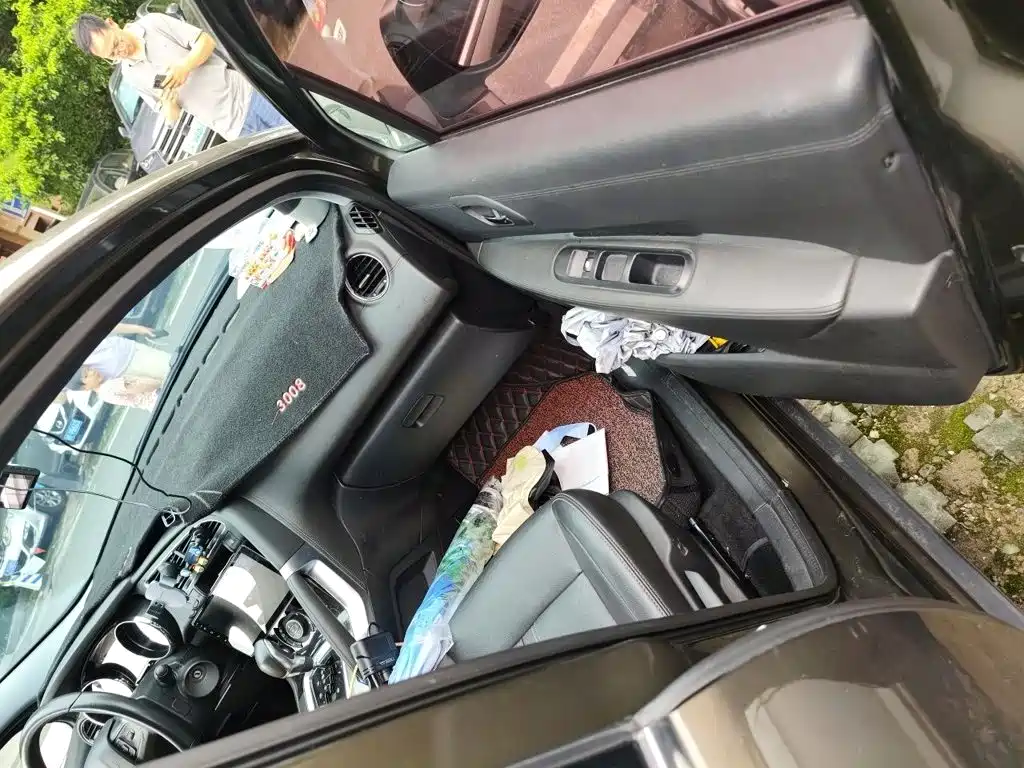 Peugeot 3008 2017 2016 2.0L Automatic Trend Edition