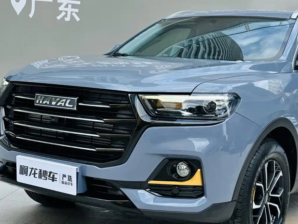 Haval H6 2025 2025 1.5T National Trend Urban Edition