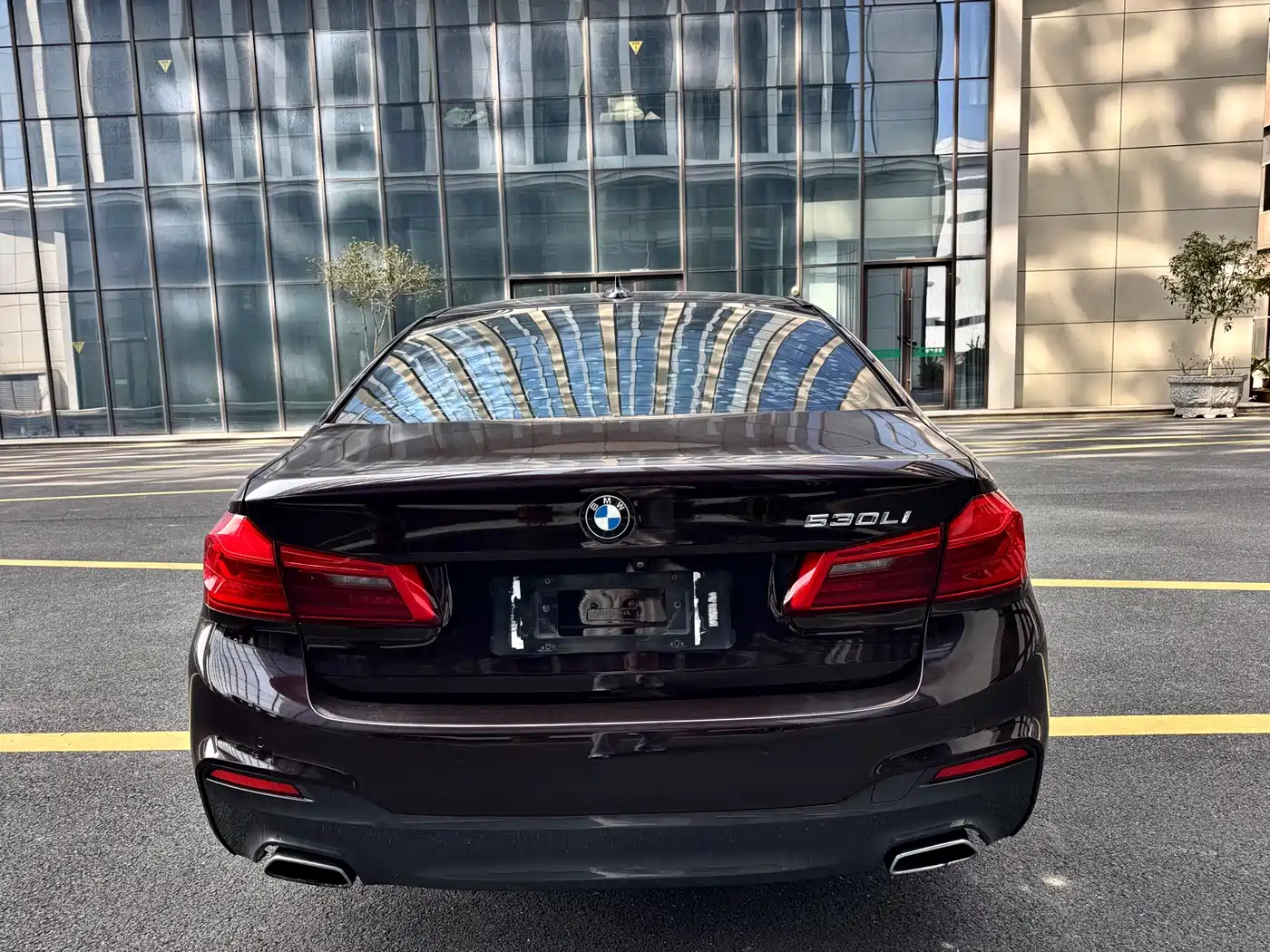 BMW 5 Series 2019 530Li Leading M Sport Package фото 5