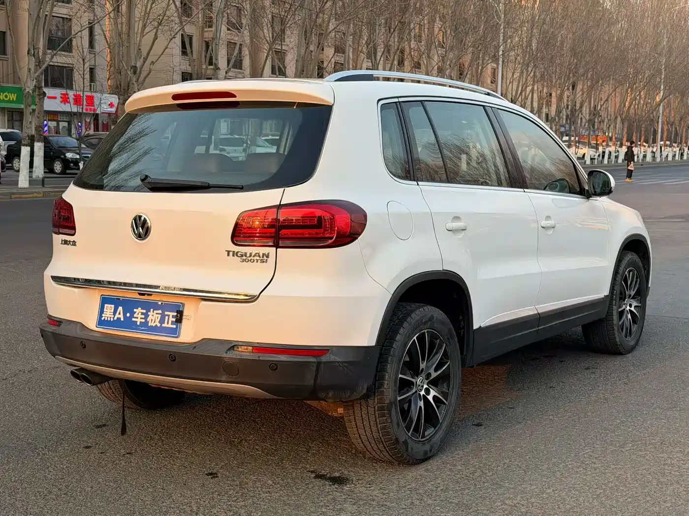 VOLKSWAGEN TIGUAN