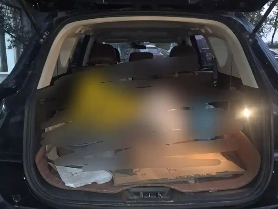 DONGFENG SCENERY 580