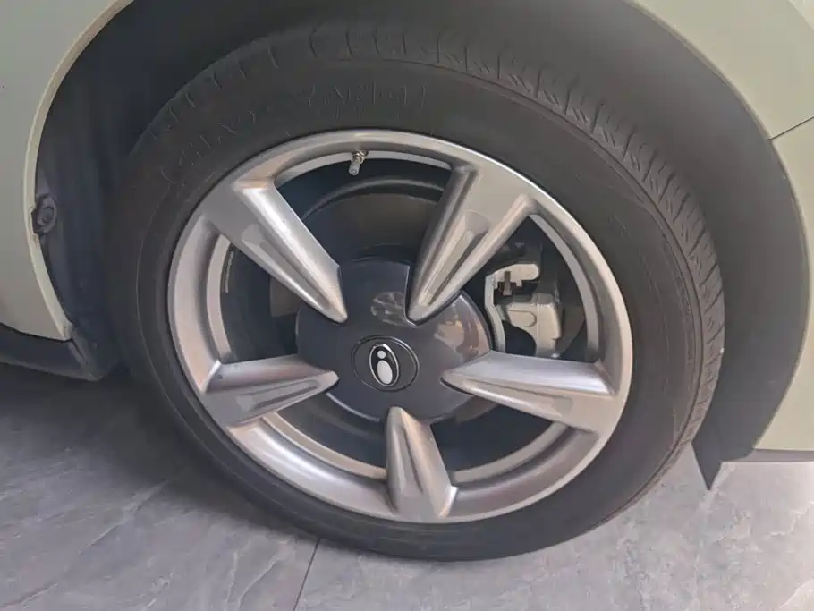 Photo 6 - Ora Good Cat
