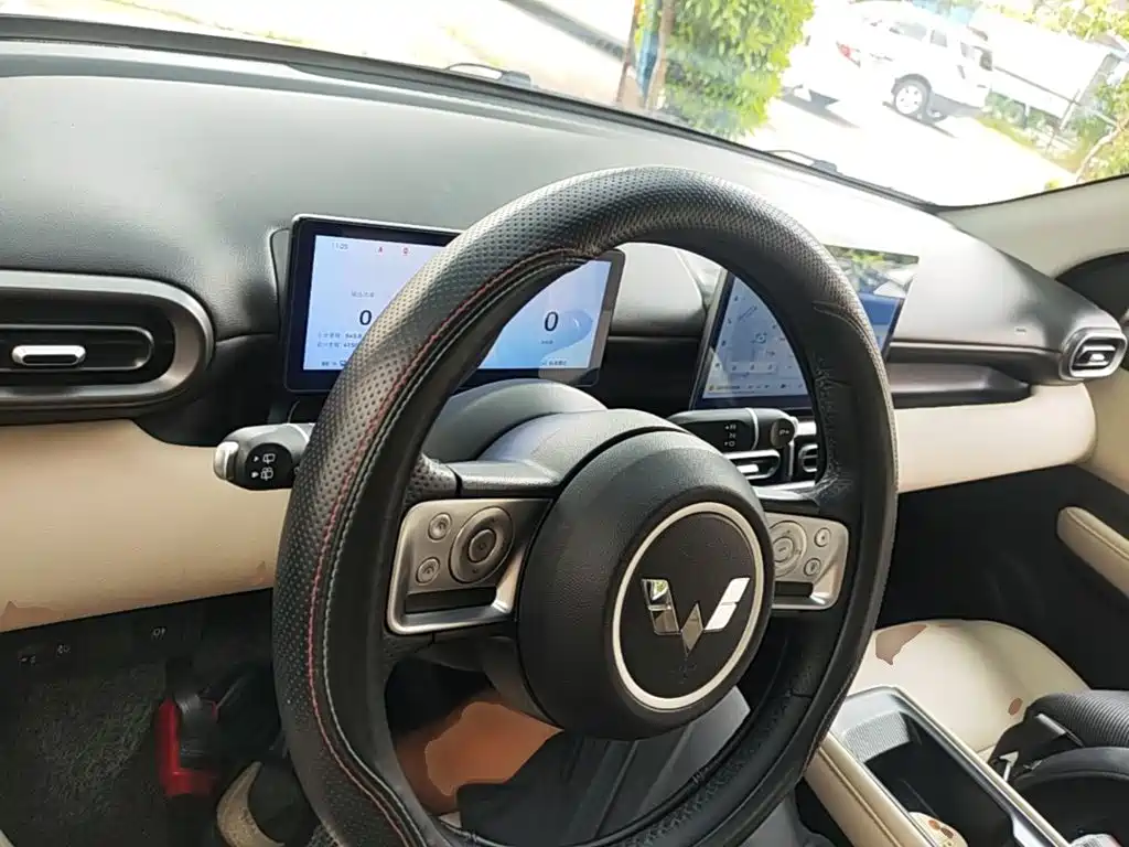 Wuling Motors Wuling Binguo PLUS 2024 2024 401km Range 5-seater